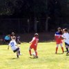 SV Eagles YSA Albums