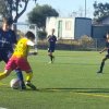 SV Eagles YSA Albums
